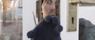 покушение на кражу