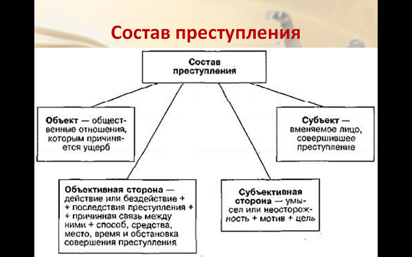 Общее руководство и ответственность за правильную организацию своевременное и качественное обучение