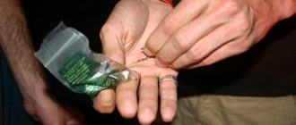 сбыт наркотиков